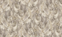 Roberto Cavalli 9 - Dessin Beige - 21054