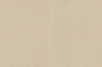 Roberto Cavalli 9 - Uni Beige - 21081
