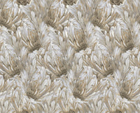 Roberto Cavalli 9 - Veer Beige - 21007