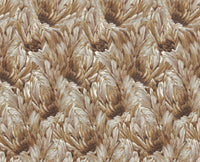 Roberto Cavalli 9 - Veer Bruin - 21009