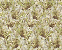 Roberto Cavalli 9 - Veer Groen - 21008