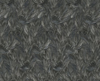 Roberto Cavalli 9 - Veer Zwart - 21001