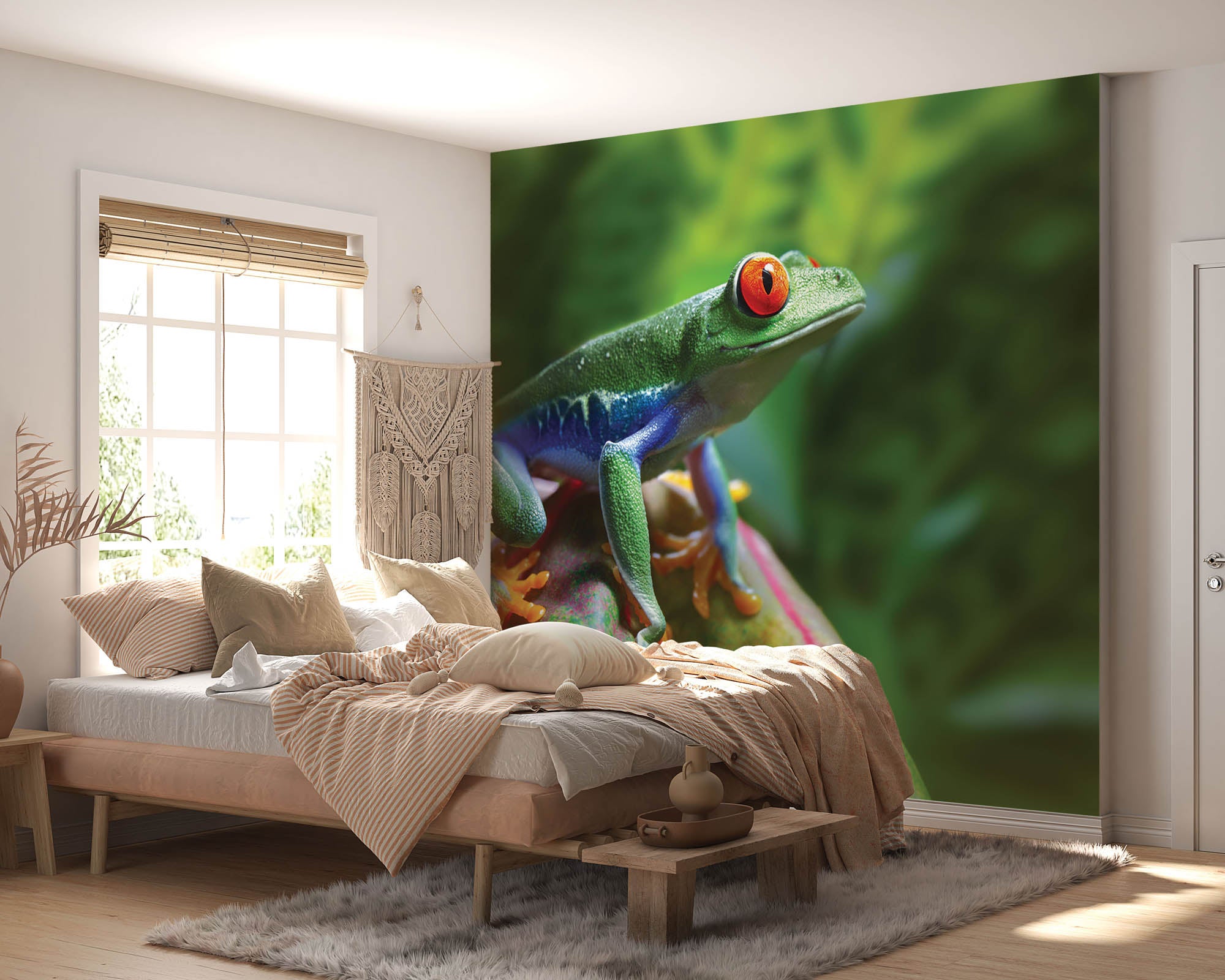 Roodoogmakikker - LW00153 Fotobehang