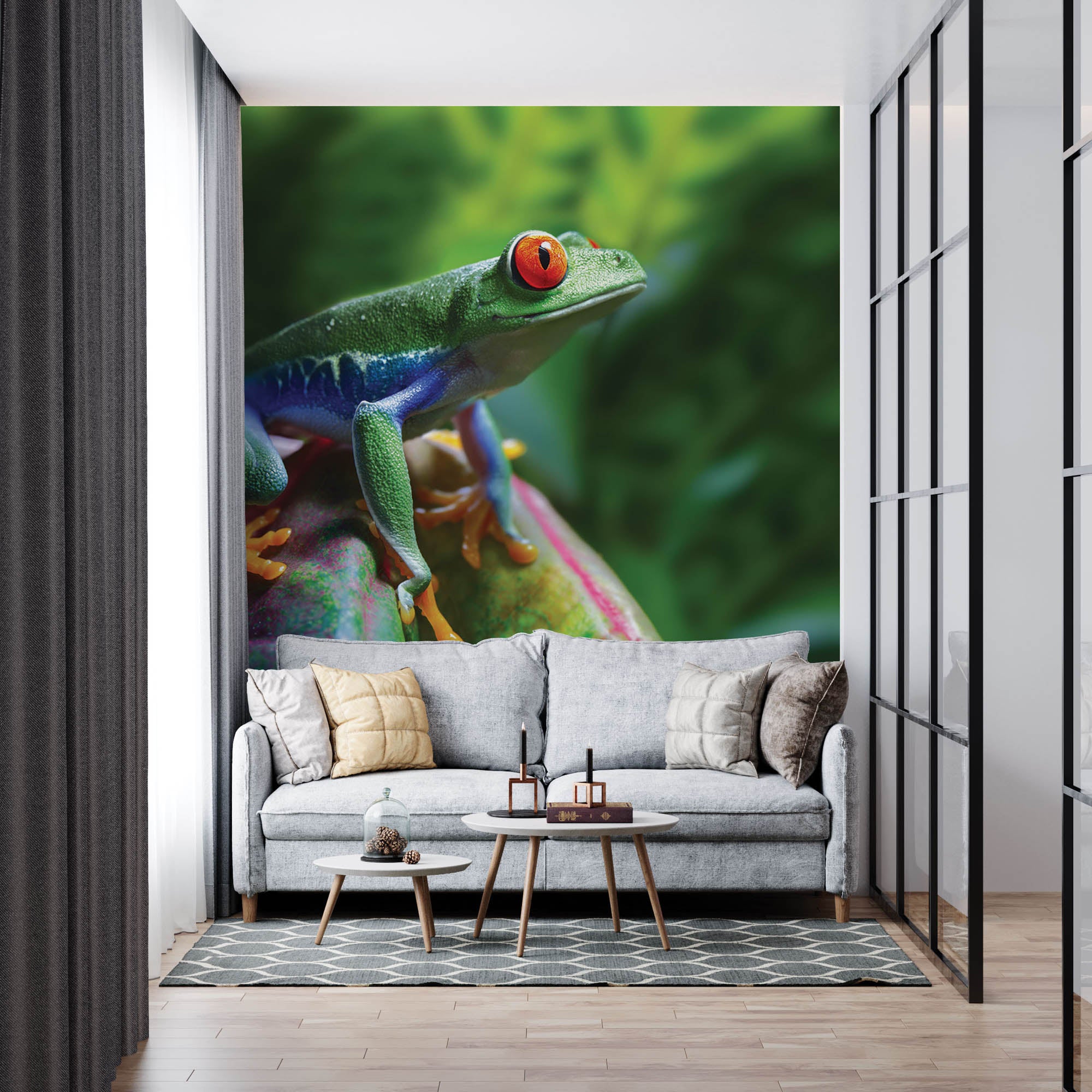 Roodoogmakikker - LW00153 Fotobehang