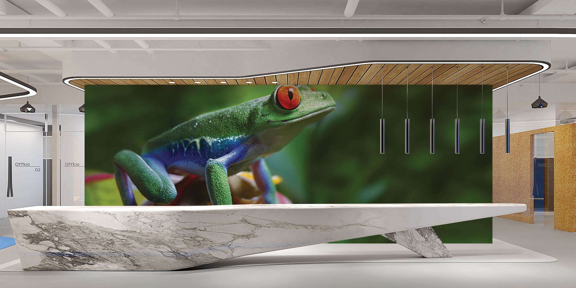 Roodoogmakikker - LW00153 Fotobehang