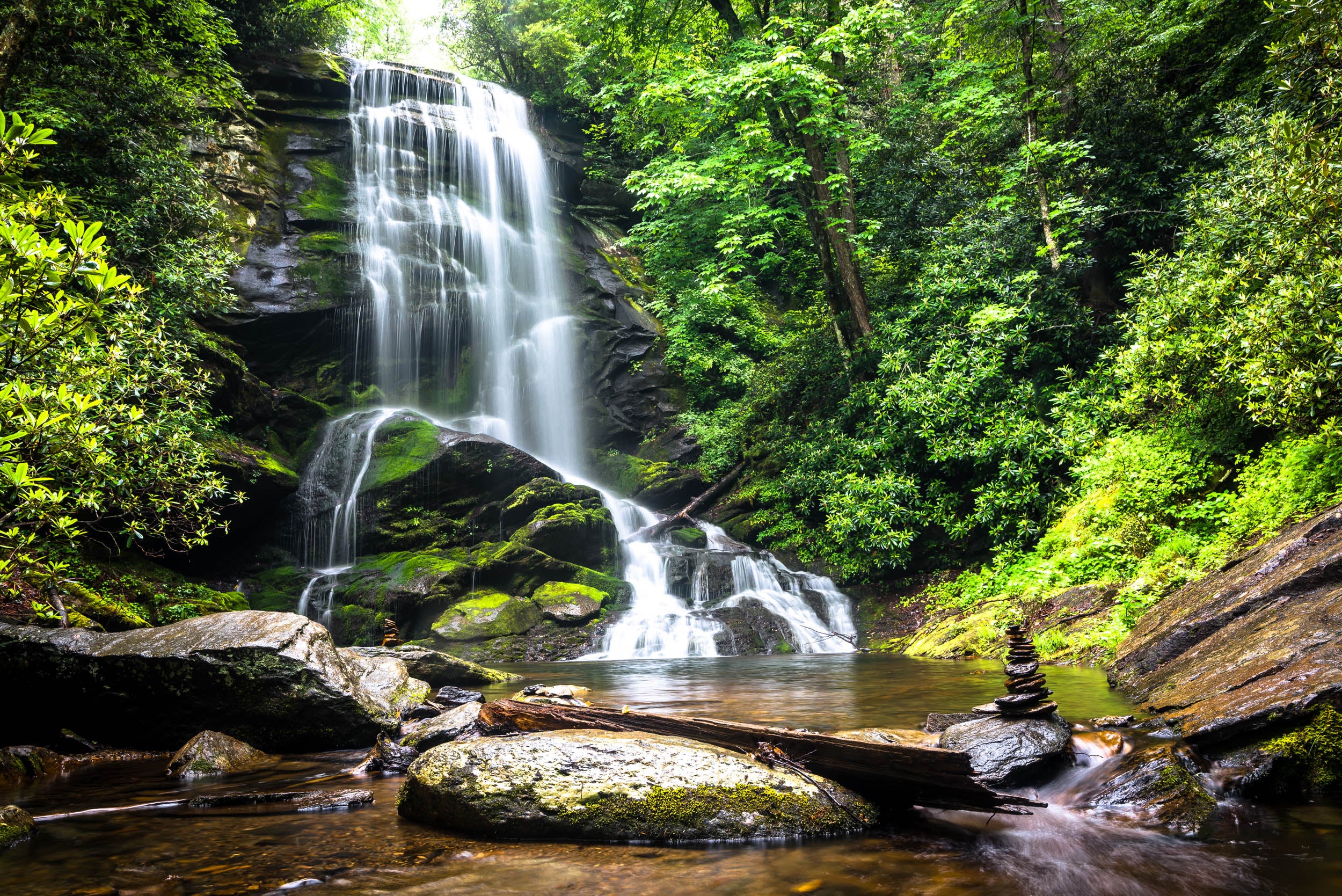 Serene Boswaterval - LW00672 Fotobehang