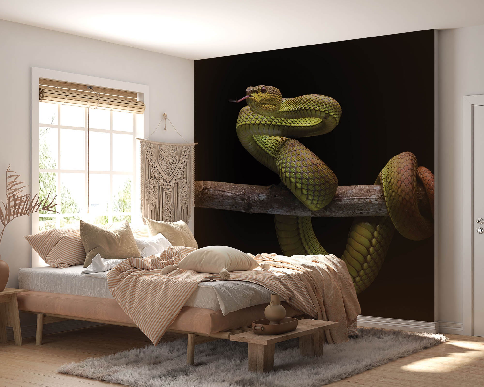 Slang op tak - LW00194 Fotobehang