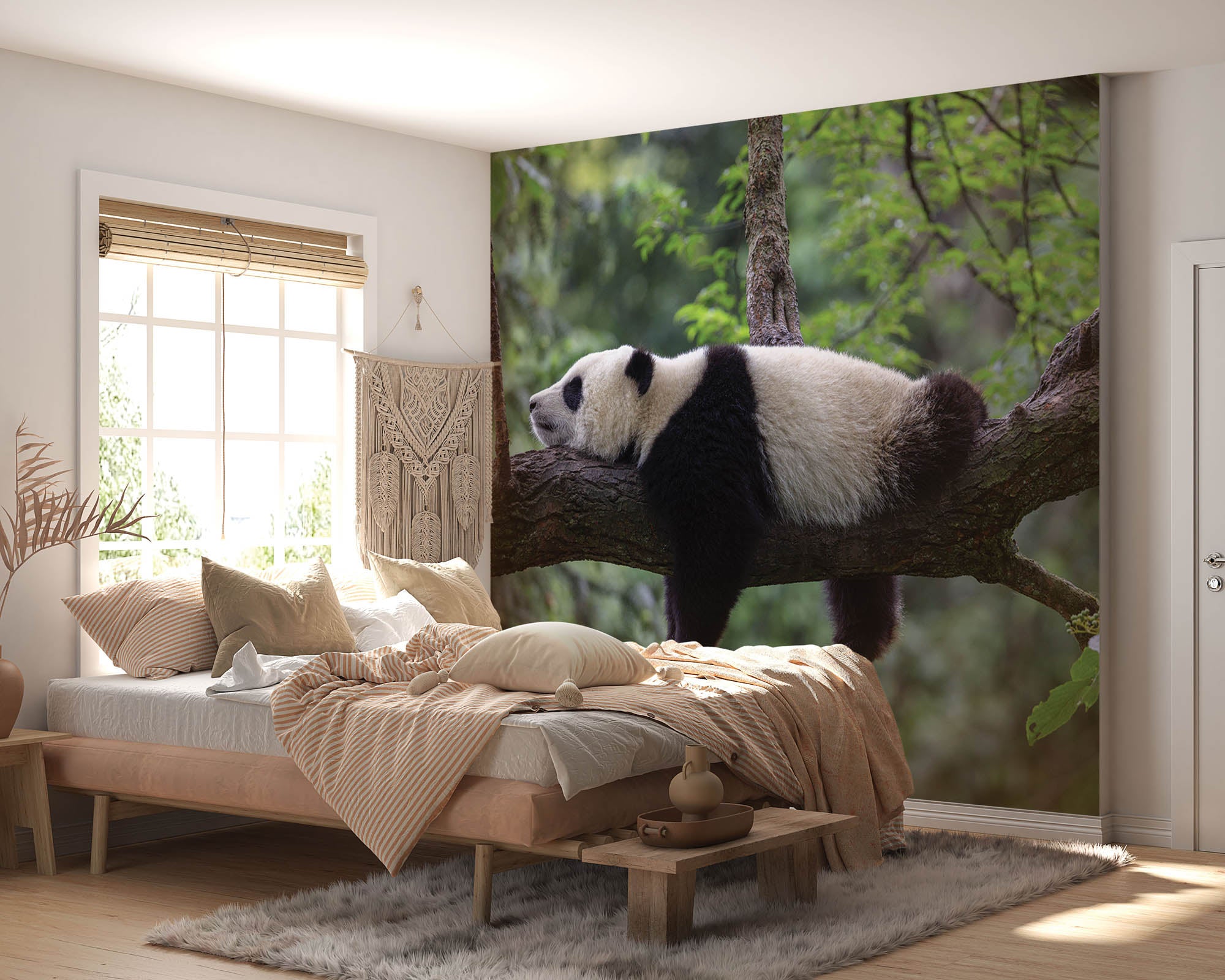 Slapende panda op tak - LW00182 Fotobehang