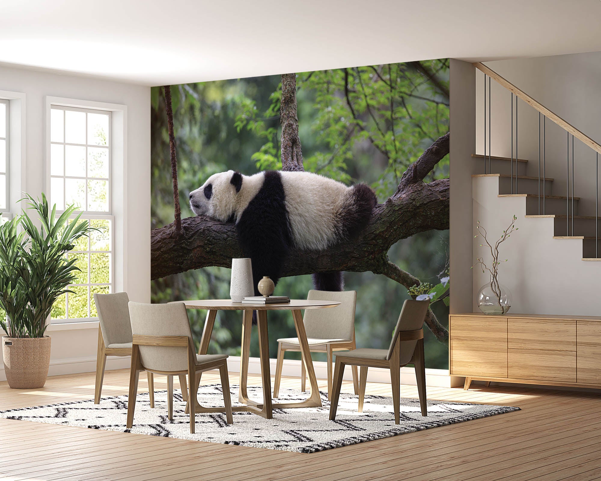 Slapende panda op tak - LW00182 Fotobehang