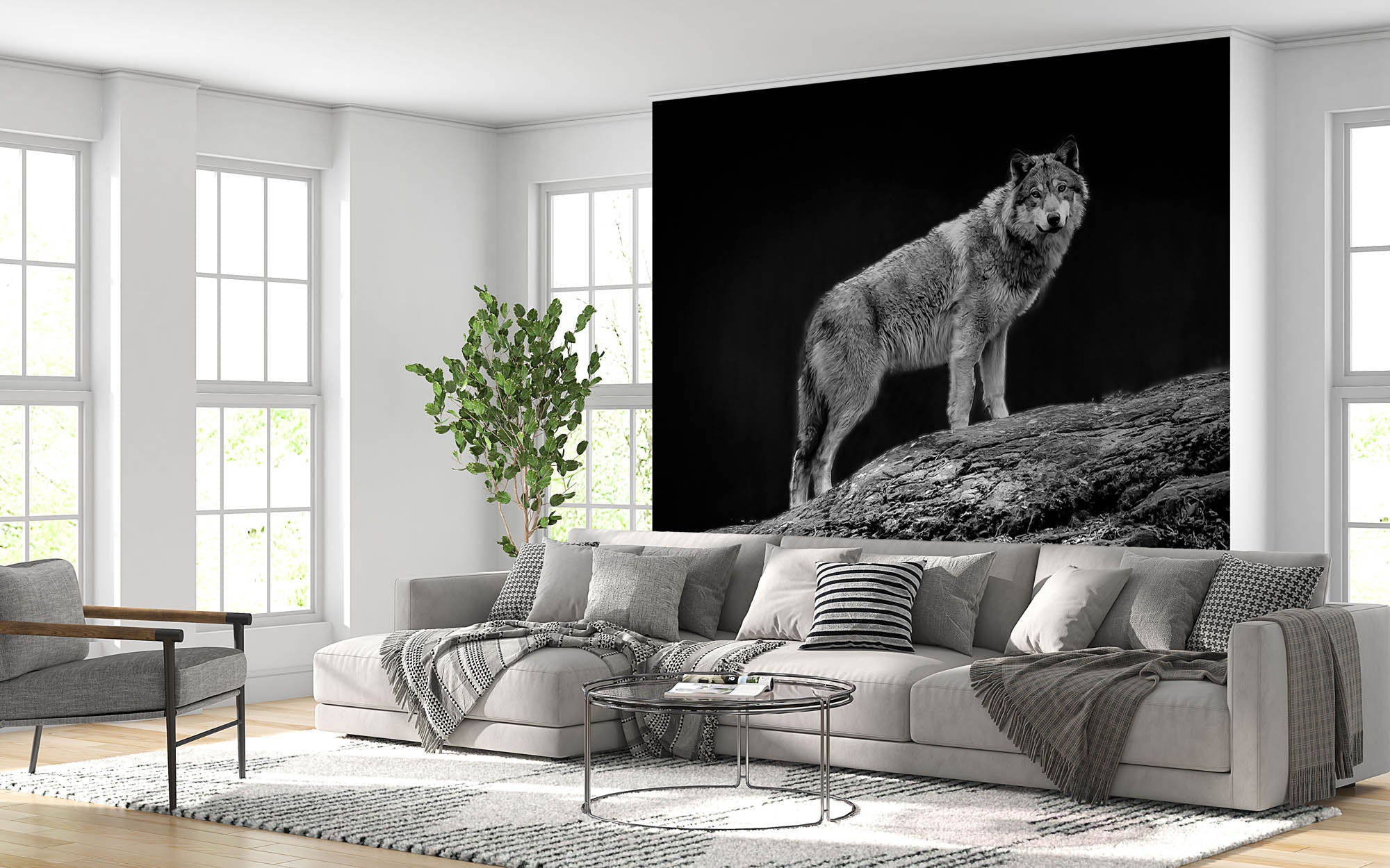 Starende wolf op boom - LW00239 Fotobehang