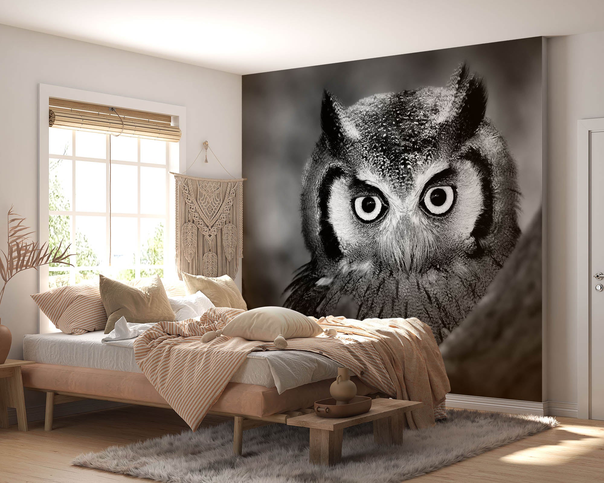 Uil in close-up - LW00205 Fotobehang