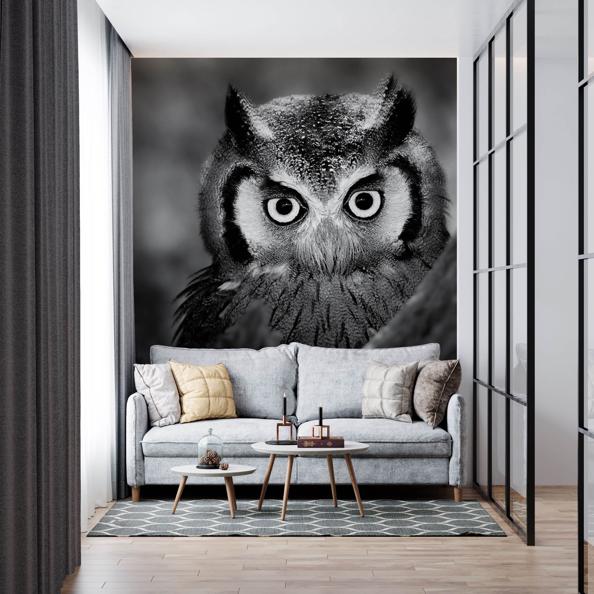 Uil in close-up - LW00205 Fotobehang