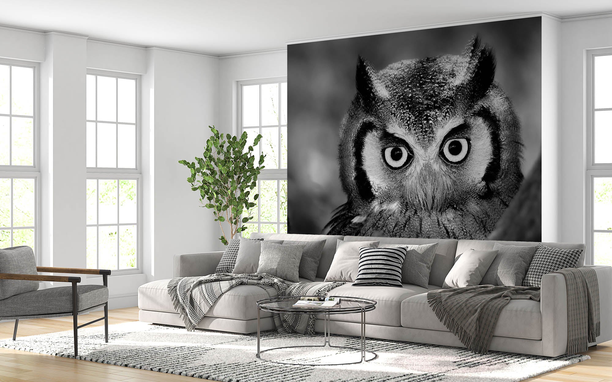 Uil in close-up - LW00205 Fotobehang