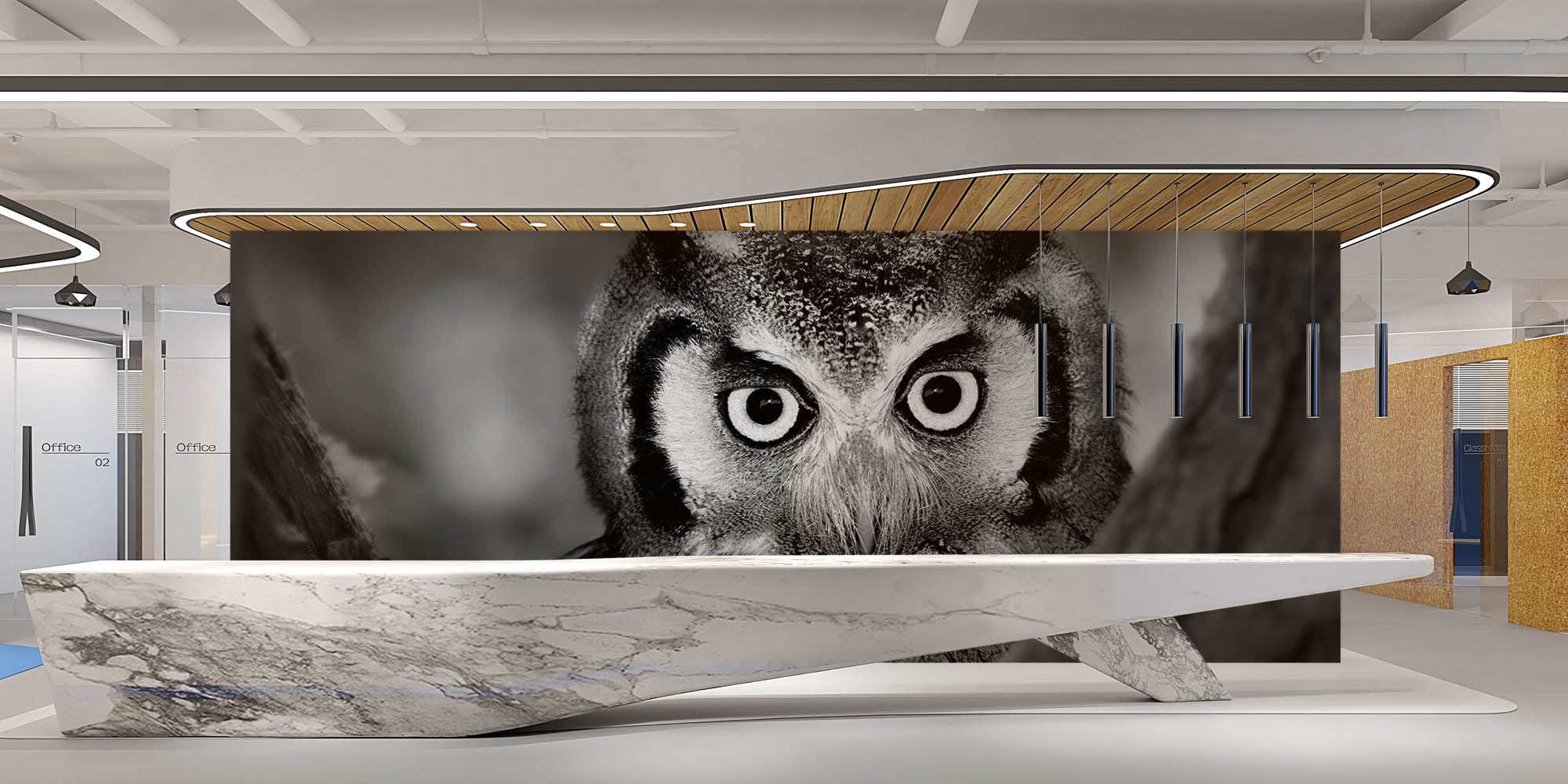 Uil in close-up - LW00205 Fotobehang