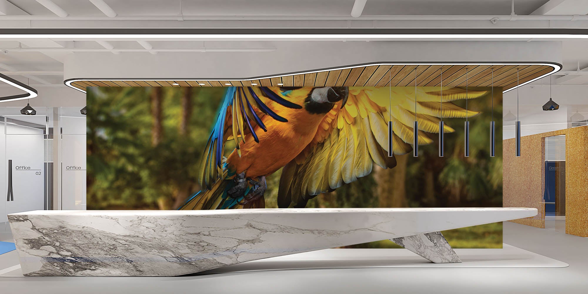 Vliegende papegaai - LW00161 Fotobehang