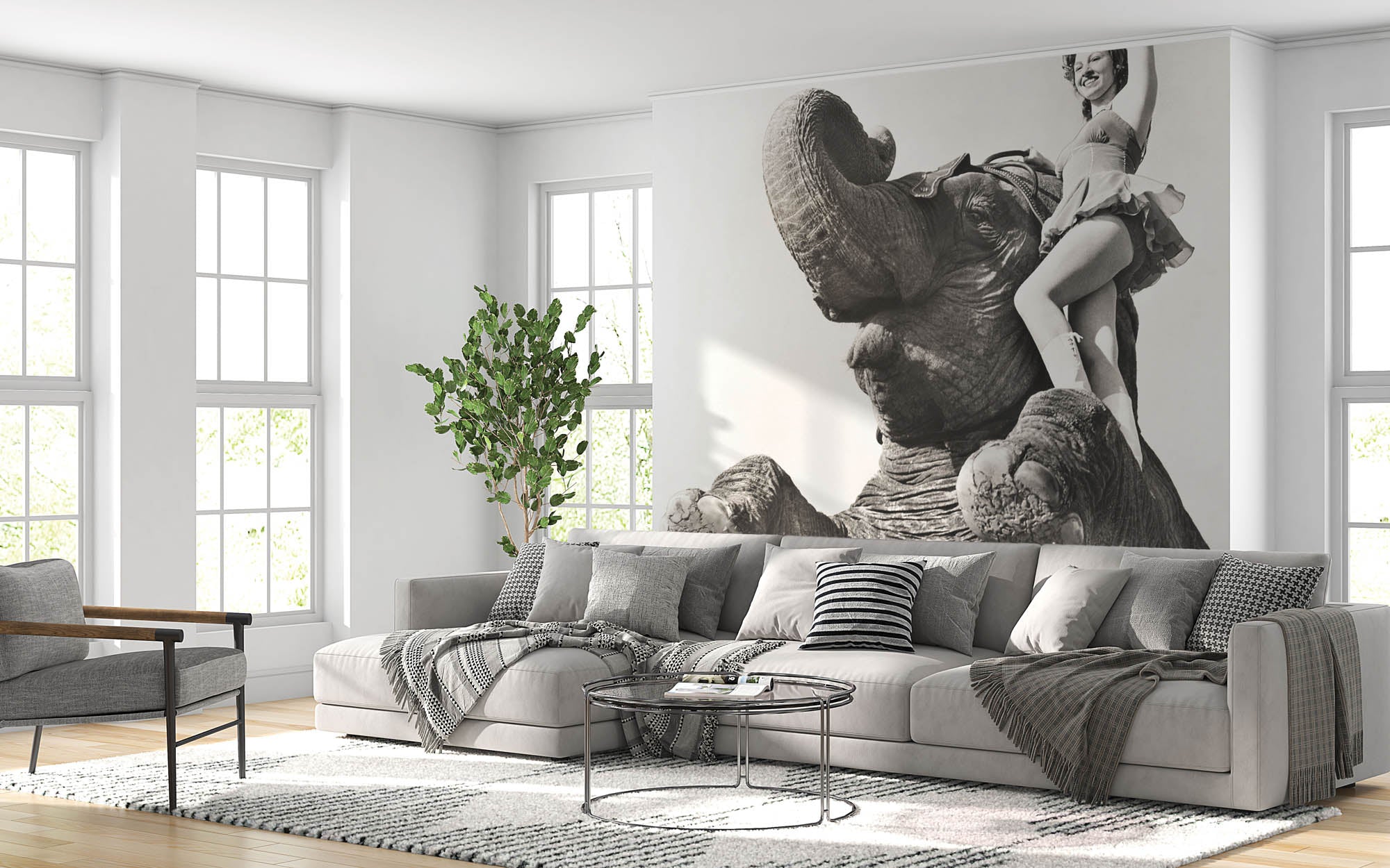 Vrouw poserend op olifant - LW00422 Fotobehang