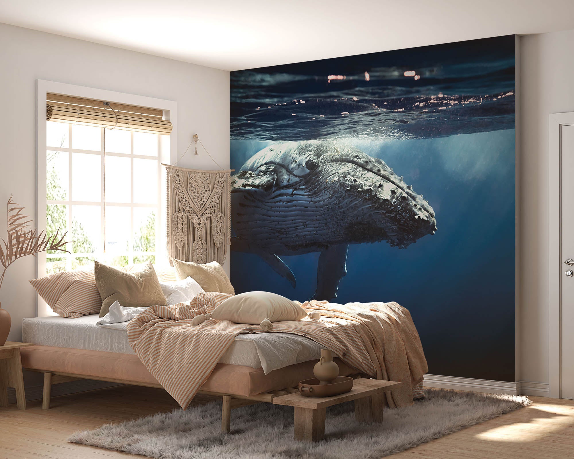 Walvis - LW00163 Fotobehang