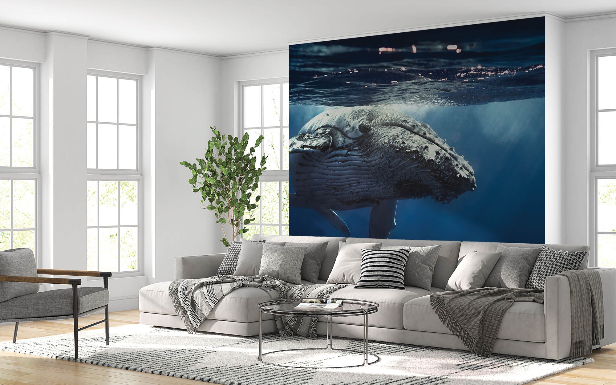 Walvis - LW00163 Fotobehang