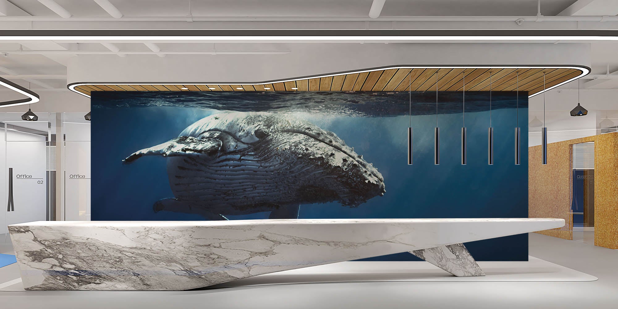 Walvis - LW00163 Fotobehang