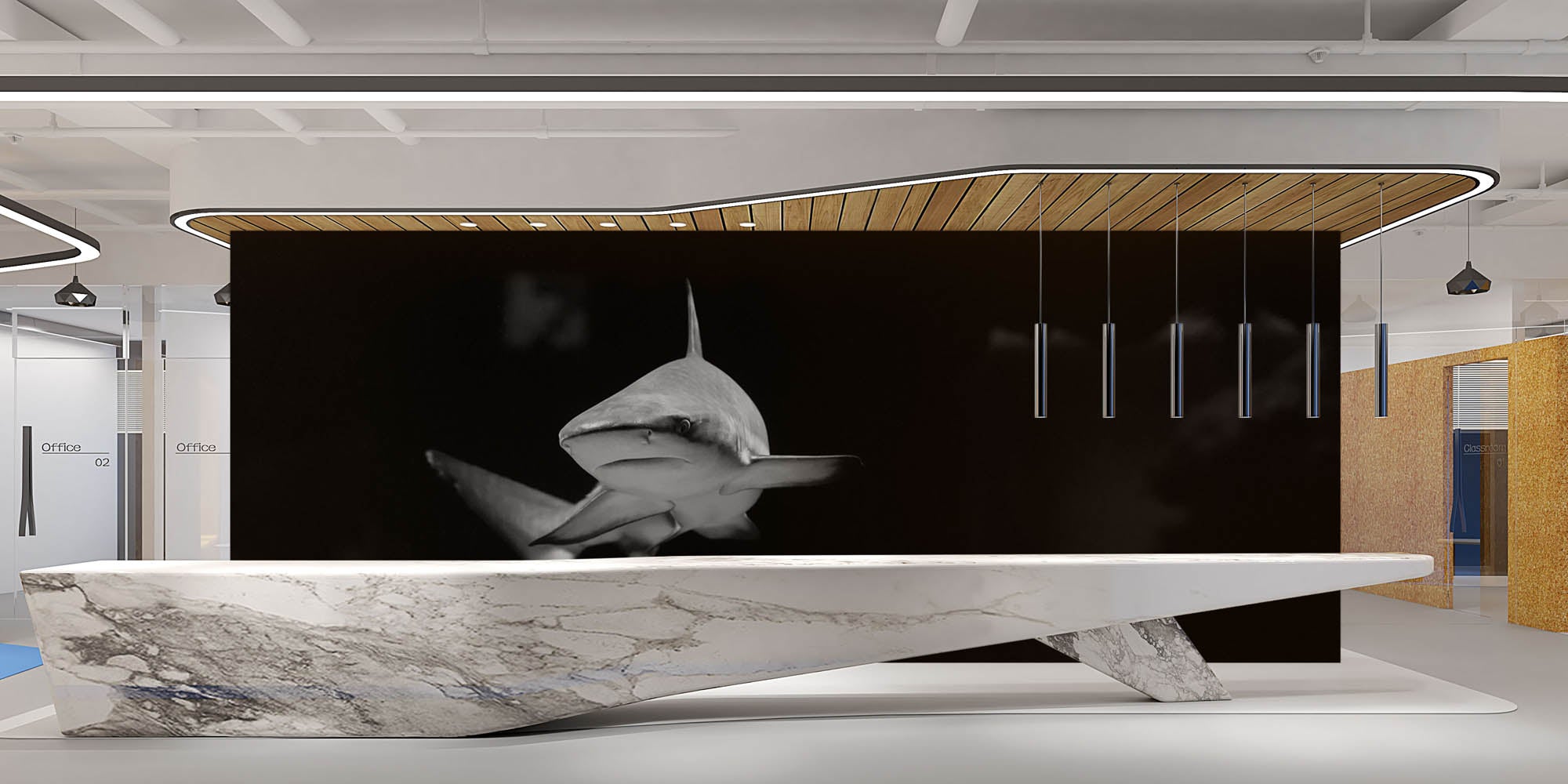 Witte haai - LW00233 Fotobehang