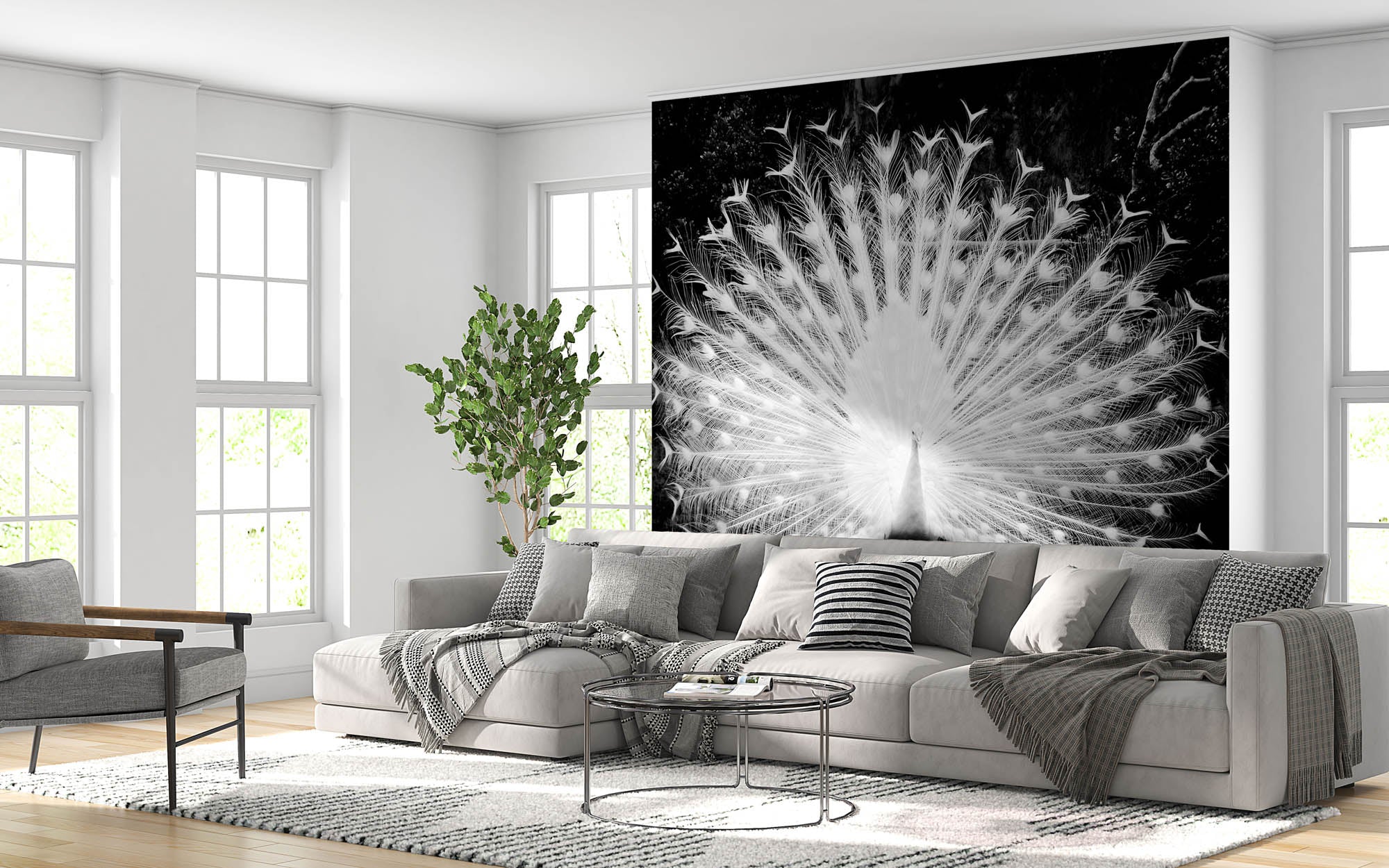 Witte pauw - LW00206 Fotobehang