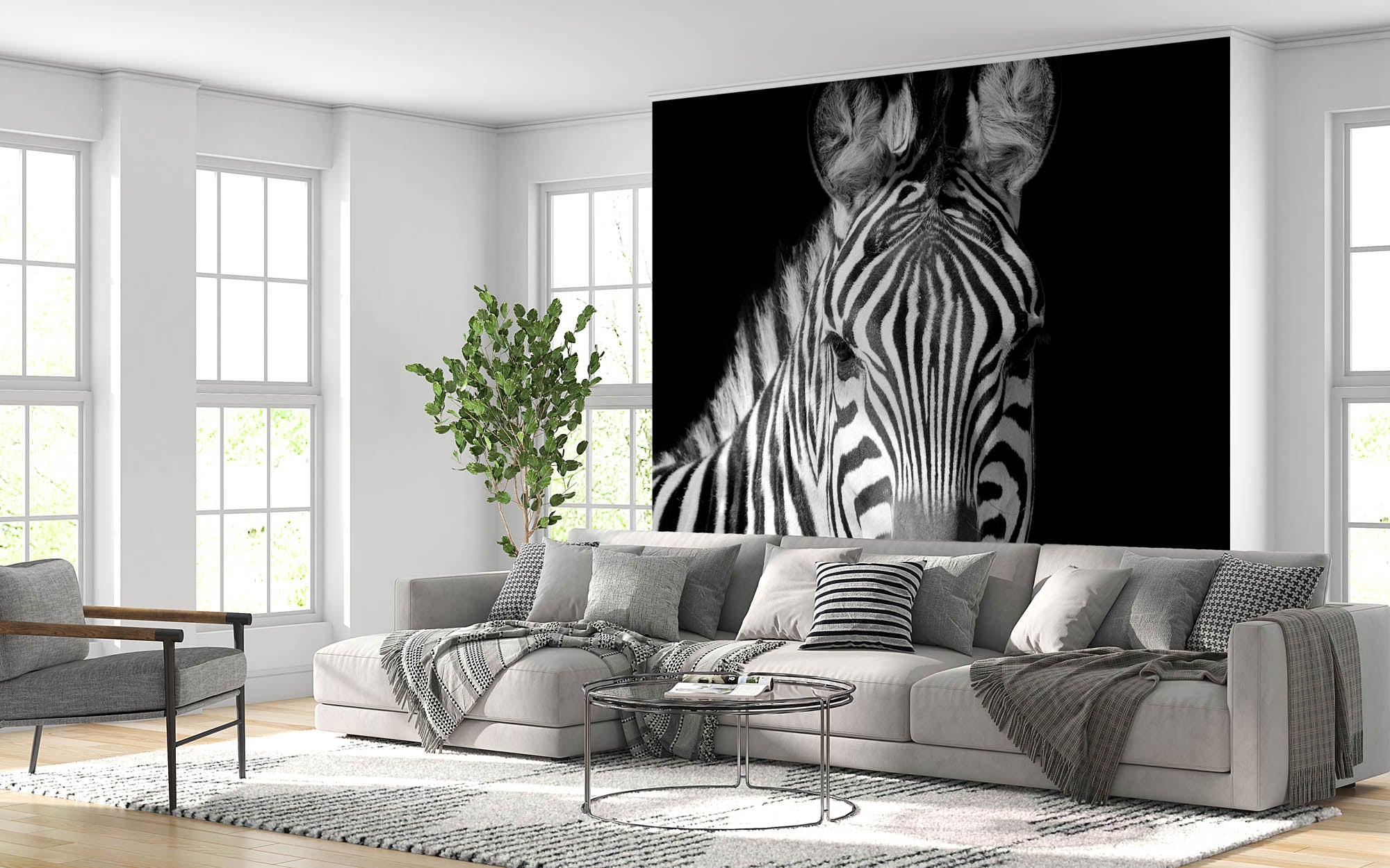 Zebra portret - LW00224 Fotobehang