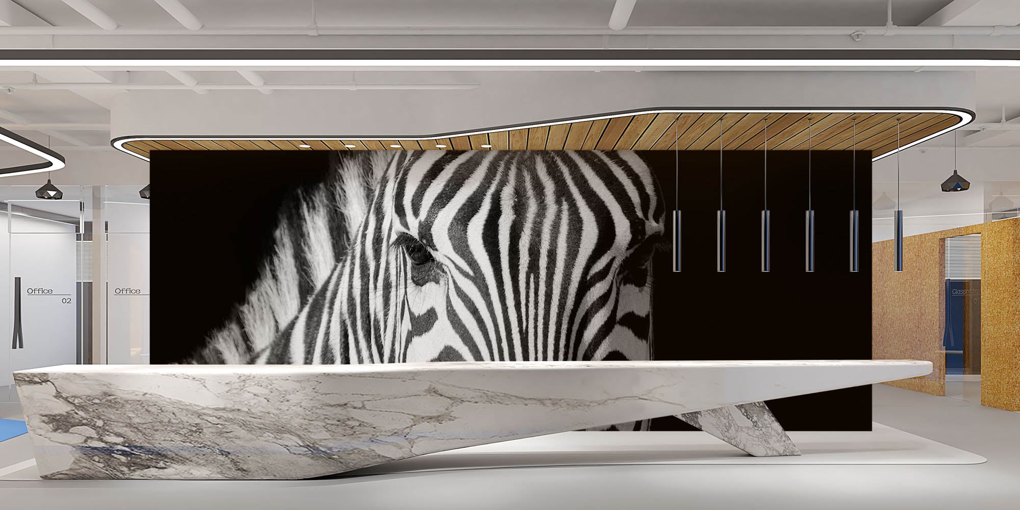 Zebra portret - LW00224 Fotobehang