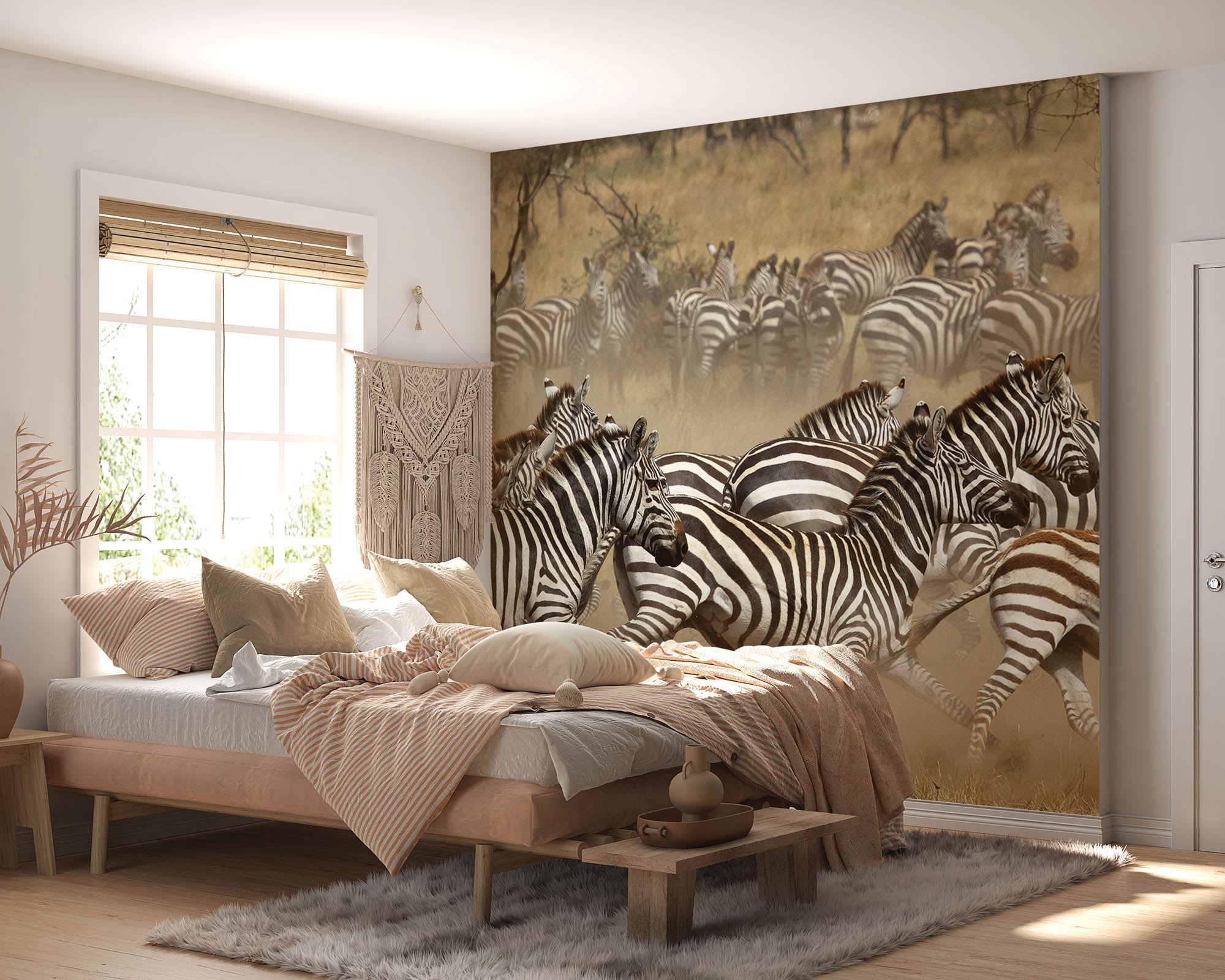 Zebra's - LW00159 Fotobehang