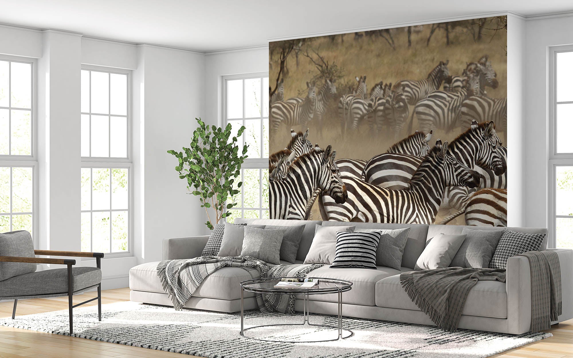 Zebra's - LW00159 Fotobehang