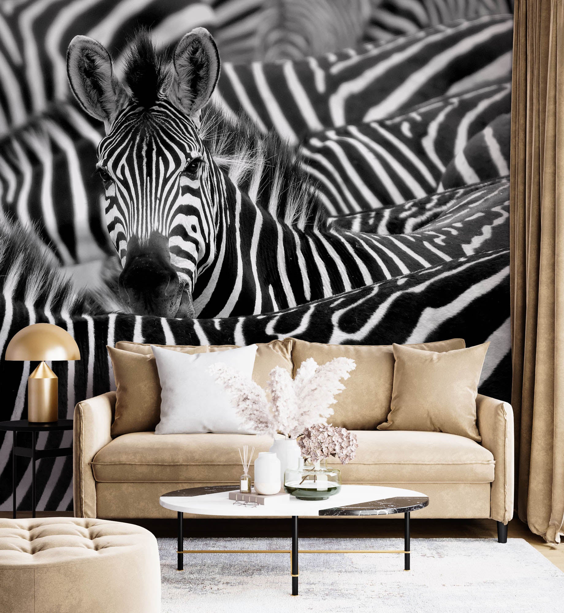 Zebra uitgelicht in kudde - LW00216 Fotobehang