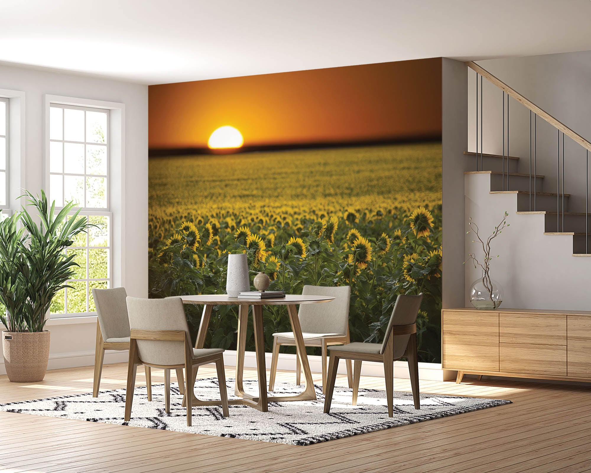 Zonnebloemenveld en zonsopgang - LW00253 Fotobehang