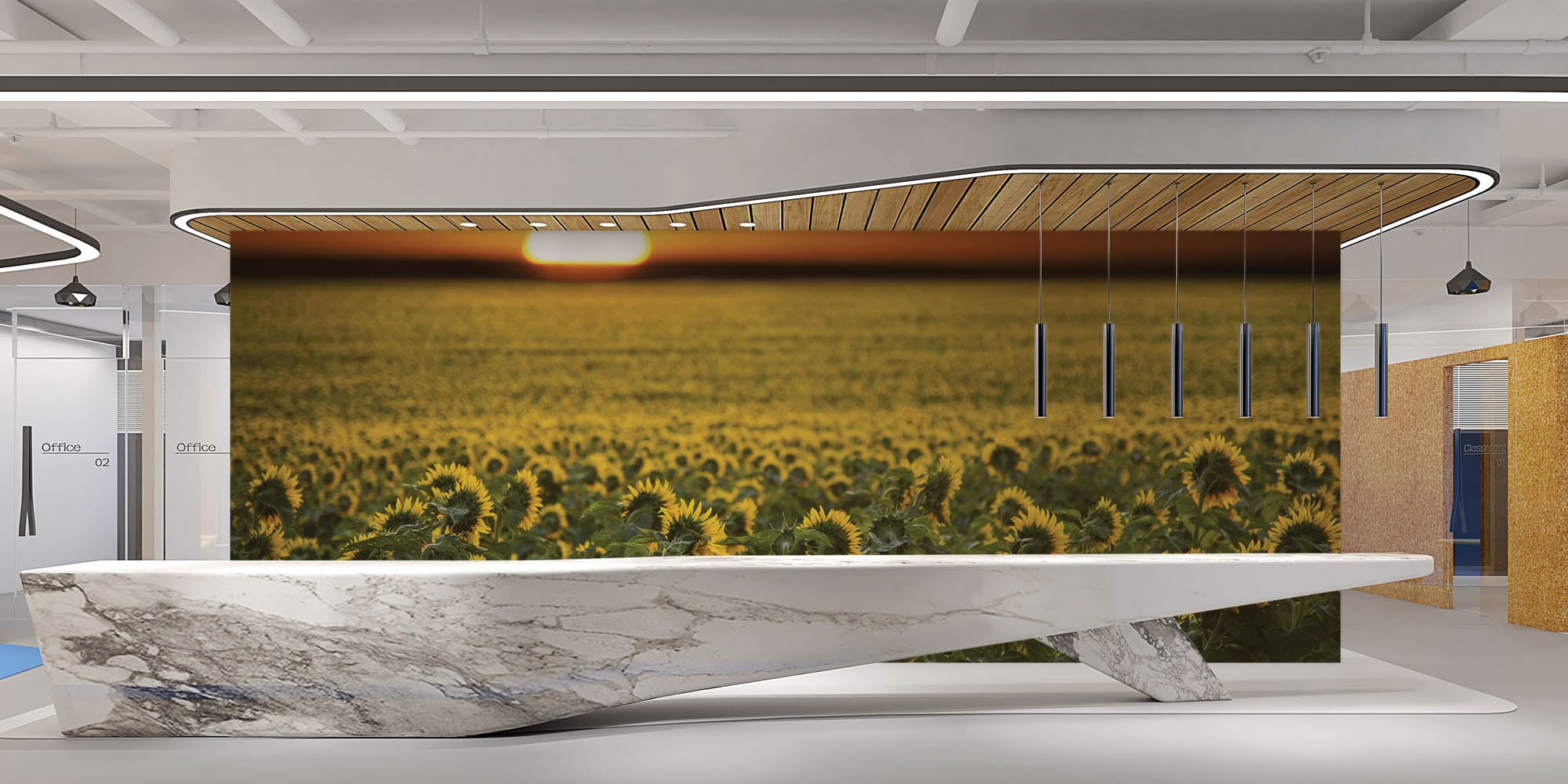 Zonnebloemenveld en zonsopgang - LW00253 Fotobehang