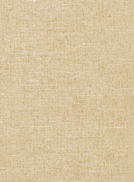 Arte Essentials Palette Chanderi 91504B