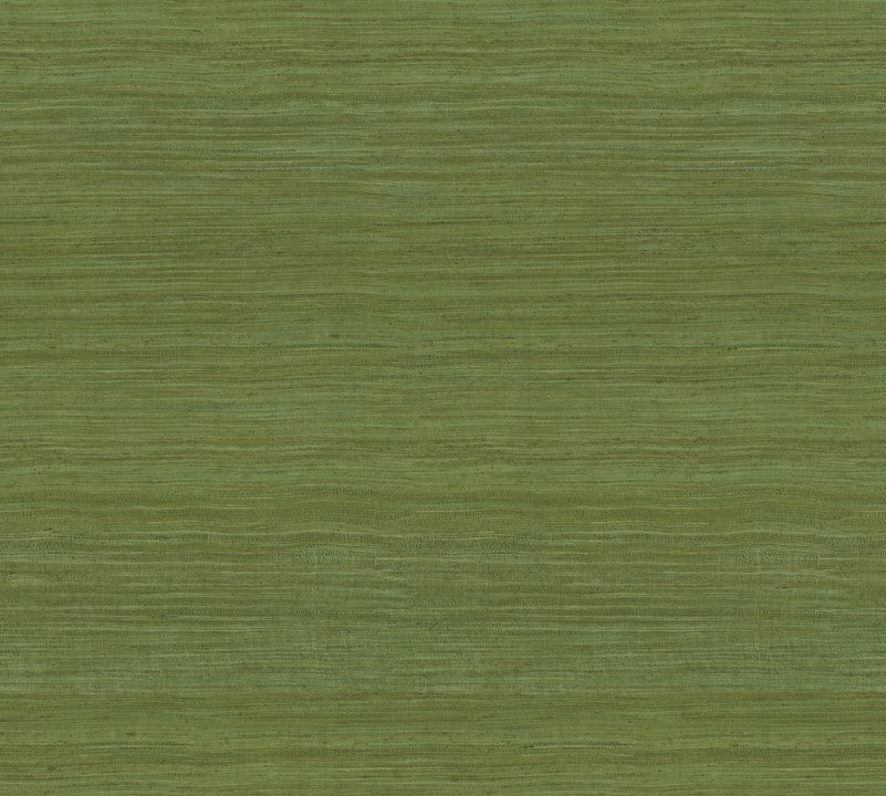 Arte Expedition Tasar 72020