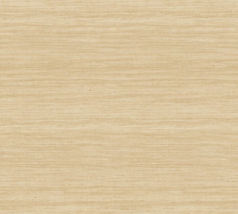 Arte Expedition Tasar 72024