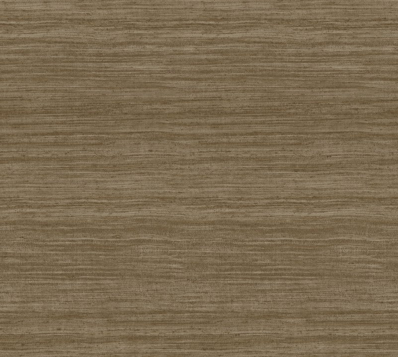 Arte Expedition Tasar 72037