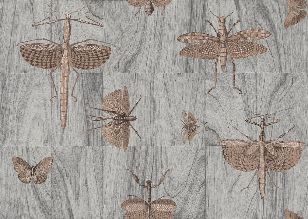 Arte Ligna Wings 42000