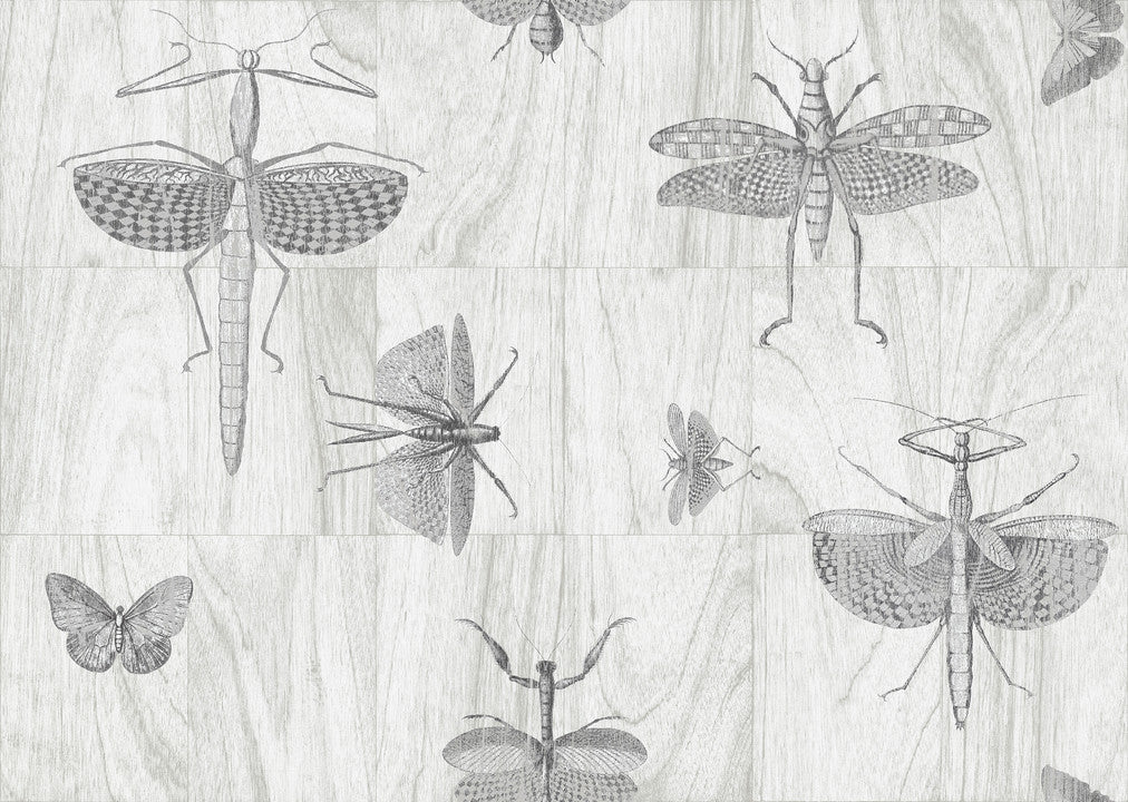 Arte Ligna Wings 42001