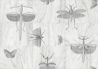 Arte Ligna Wings 42001