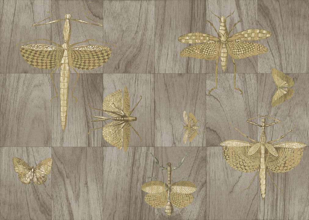 Arte Ligna Wings 42002