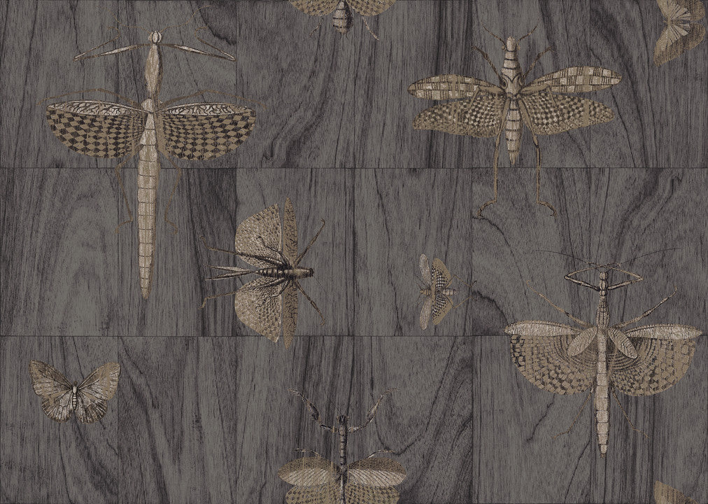 Arte Ligna Wings 42003