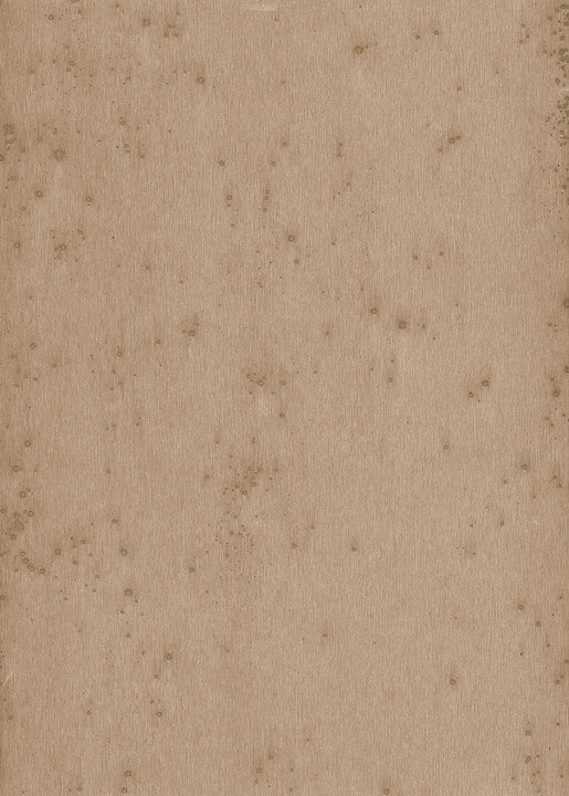 Arte Lush Stellar 37522A