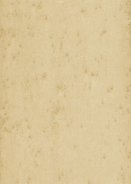 Arte Metal X Stellar 37518