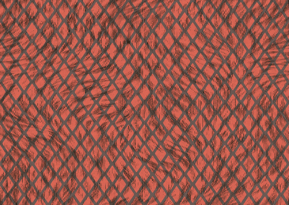 Arte Moooi Wallcovering Extinct Animals Aristo Quagga MO2034