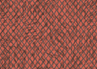 Arte Moooi Wallcovering Extinct Animals Aristo Quagga MO2034