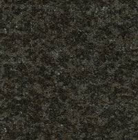 Arte Moooi Wallcovering Extinct Animals Bearded Leopard MO2052