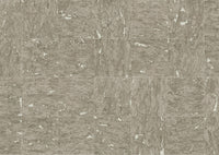 Arte Wildwalk Evora 28032