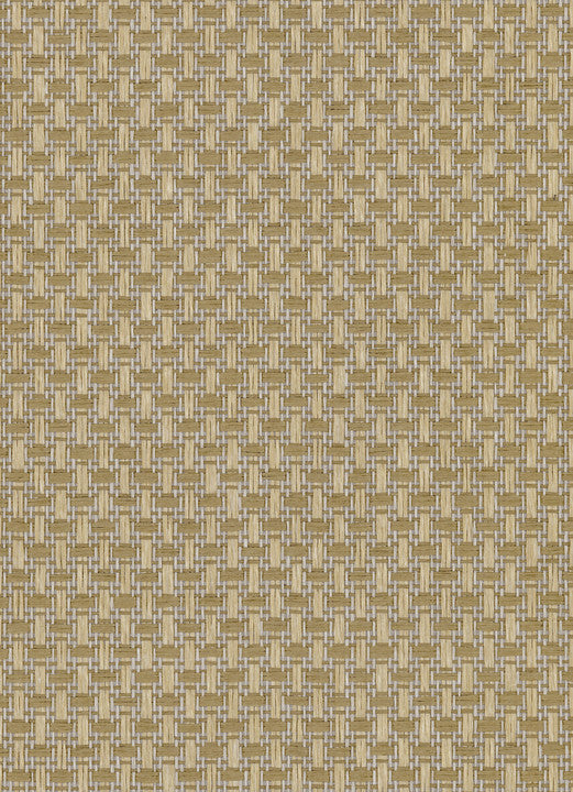 Arte Wildwalk Ferox 28064