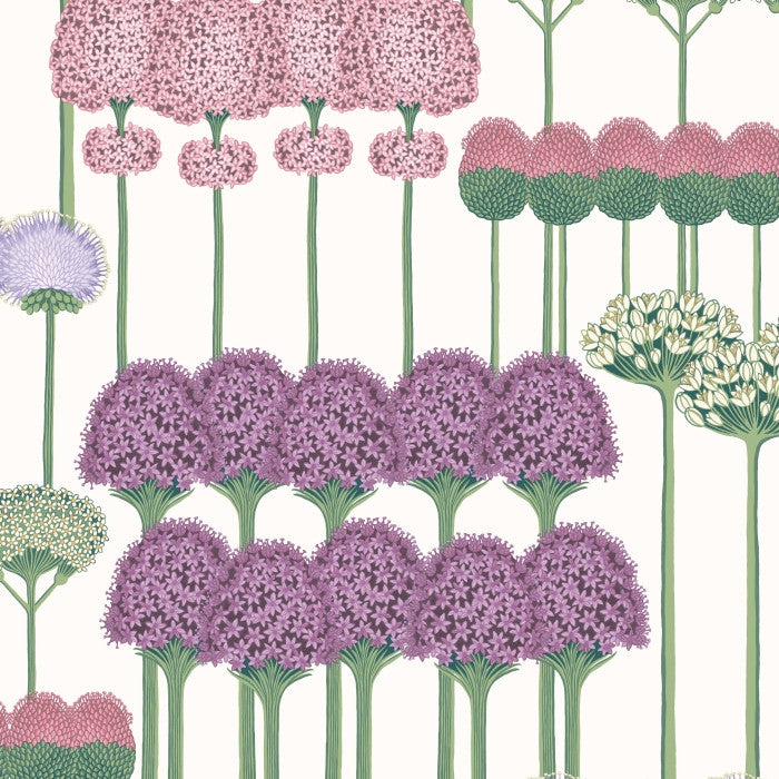 Cole & Son Botanical Allium 115/12034