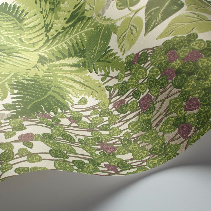 Cole & Son Botanical Fern 115/7021